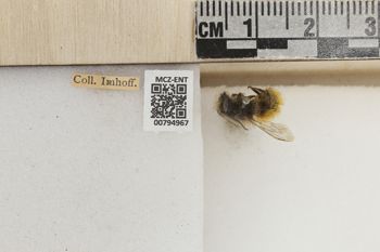 Media type: image;   Entomology 794967 Aspect: Labels